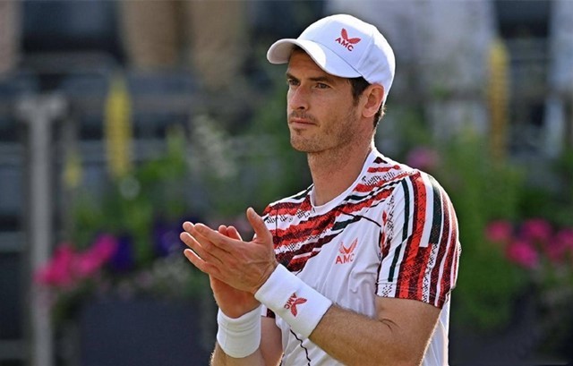 如果能够在 如果能够在