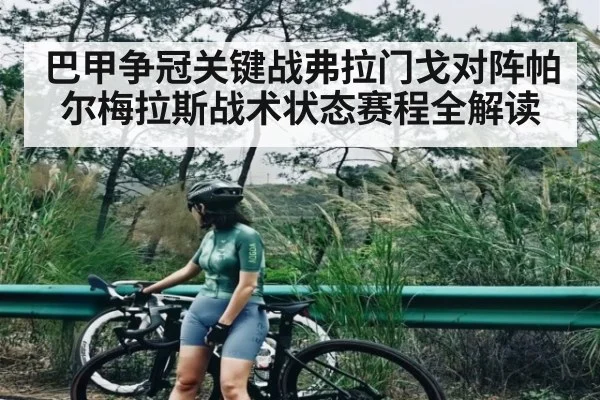 巴甲争冠关键战弗拉门戈对阵帕尔梅拉斯战术状态赛程全解读